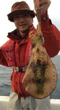 エヌスタイル 釣果