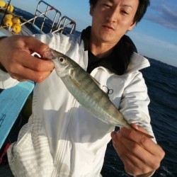 みやけ丸 釣果