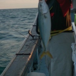 海龍丸 釣果