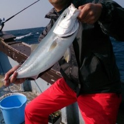海龍丸 釣果