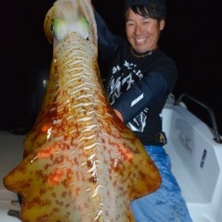 South Current 釣果