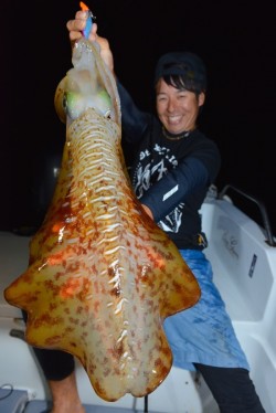 South Current 釣果