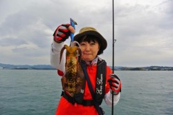 South Current 釣果