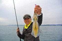 South Current 釣果