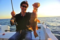 South Current 釣果