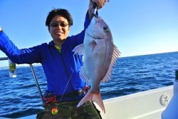 South Current 釣果