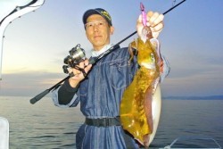 South Current 釣果