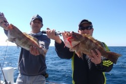 South Current 釣果