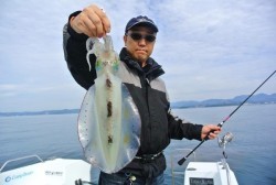 South Current 釣果