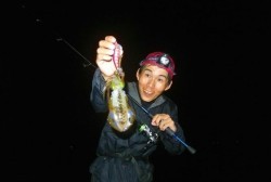 South Current 釣果