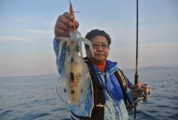 South Current 釣果