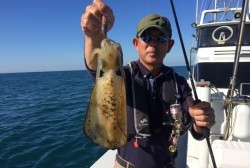 South Current 釣果