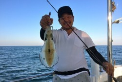 South Current 釣果