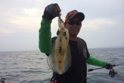 South Current 釣果