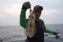 South Current 釣果