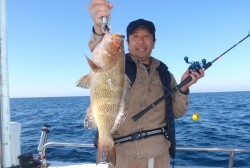 South Current 釣果