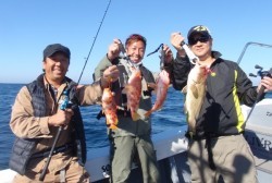 South Current 釣果