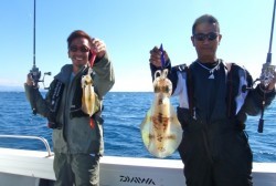 South Current 釣果