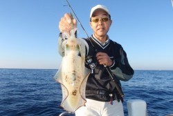 South Current 釣果