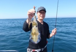 South Current 釣果