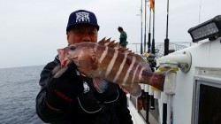 ワープゾーン 釣果