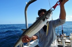 ワープゾーン 釣果