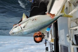 ワープゾーン 釣果