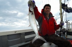 ワープゾーン 釣果