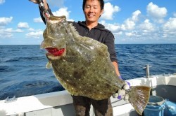 ワープゾーン 釣果