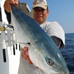 ワープゾーン 釣果