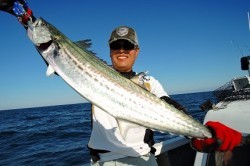 ワープゾーン 釣果