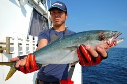 ワープゾーン 釣果