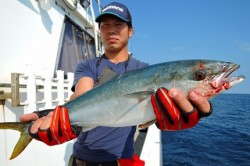 ワープゾーン 釣果