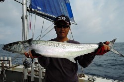 ワープゾーン 釣果