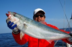 ワープゾーン 釣果