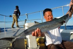 ワープゾーン 釣果