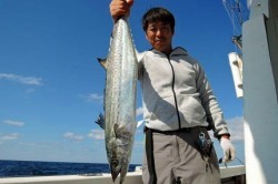 ワープゾーン 釣果