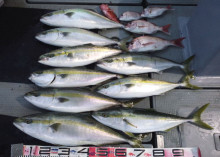 オーシャンスター(Ocean Star) …