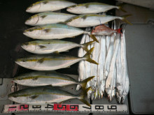 オーシャンスター(Ocean Star) …