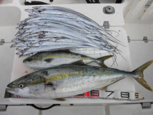 ＪＤＩ　Ｒａｃｉｎｇ　シールズマリンレジャ…