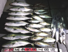 オーシャンスター(Ocean Star) …