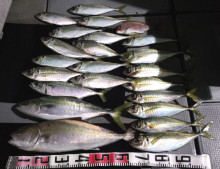 オーシャンスター(Ocean Star) …