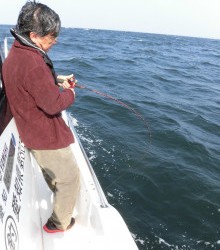 ＪＤＩ　Ｒａｃｉｎｇ　シールズマリンレジャー 釣果