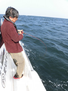 ＪＤＩ　Ｒａｃｉｎｇ　シールズマリンレジャー 釣果