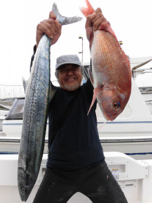 ＪＤＩ　Ｒａｃｉｎｇ　シールズマリンレジャー 釣果