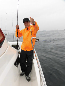 ＪＤＩ　Ｒａｃｉｎｇ　シールズマリンレジャー 釣果