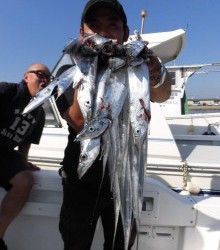 JDI Racing シールズマリンレジャー 釣果