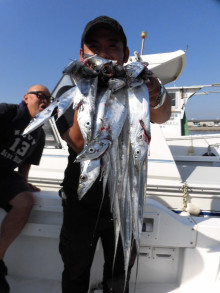 JDI Racing シールズマリンレジャー 釣果