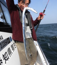 ＪＤＩ　Ｒａｃｉｎｇ　シールズマリンレジャー 釣果