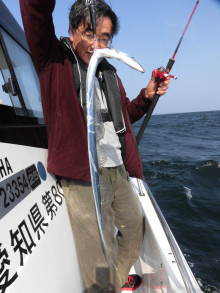 ＪＤＩ　Ｒａｃｉｎｇ　シールズマリンレジャー 釣果